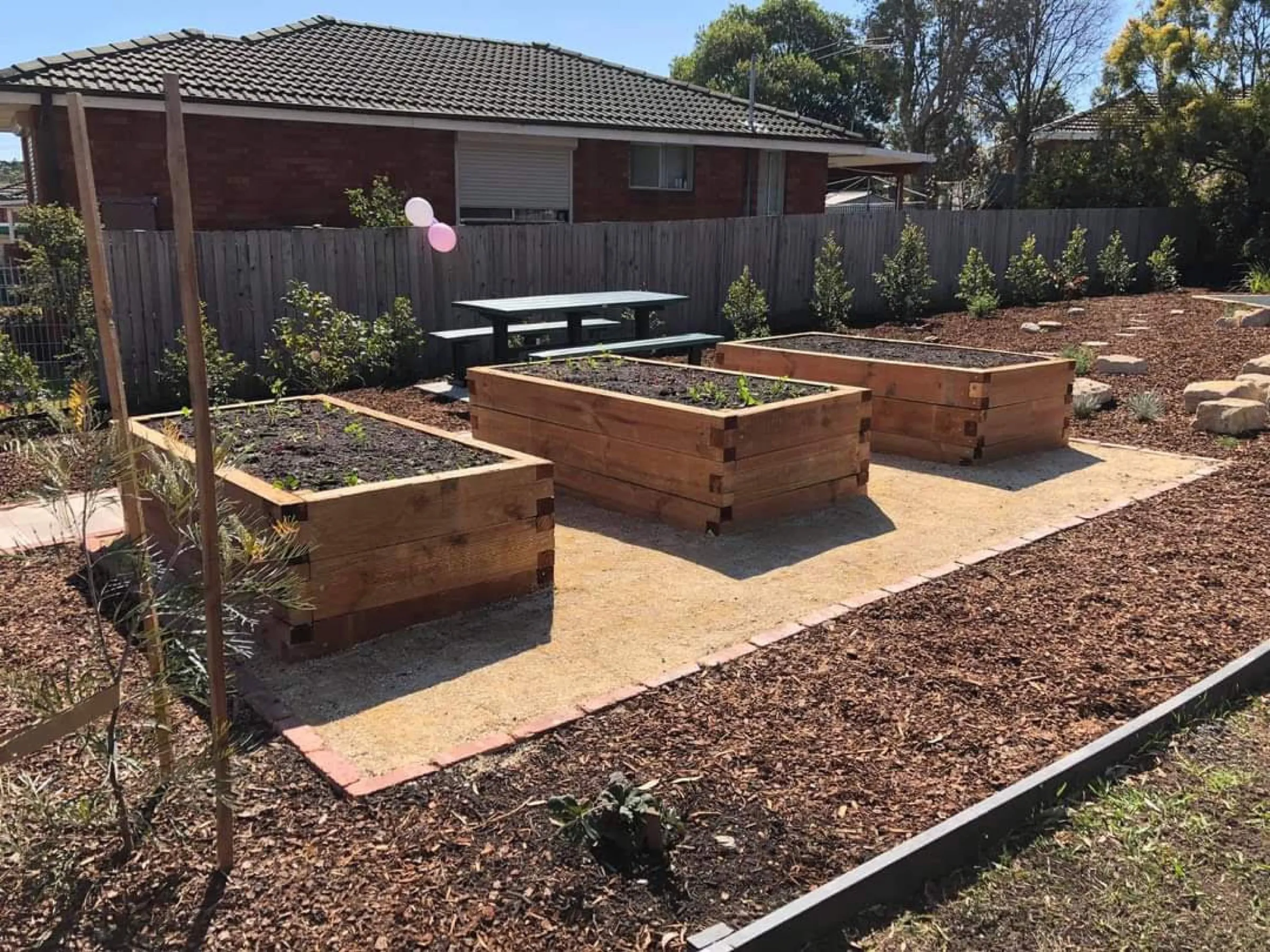 Raised timber garden beds